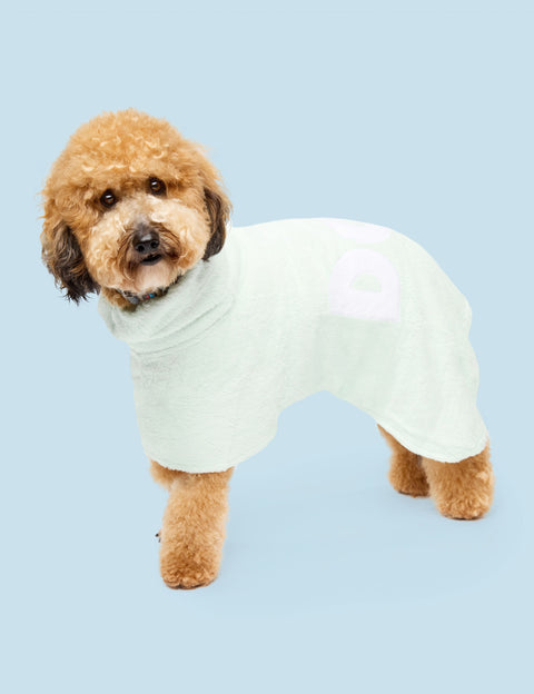 DOG Poncho - Mint